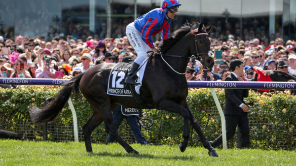 Prince of Arran at the Melbourne cup