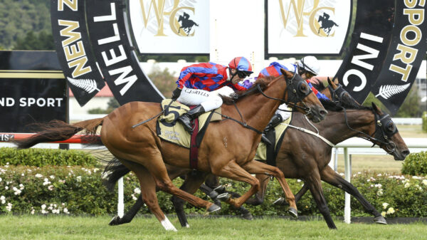 Wellington Cup Day