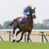 Japanese mare Almond Eye blitzed the field in the Group One Victoria Mile (1600m) in Tokyo.