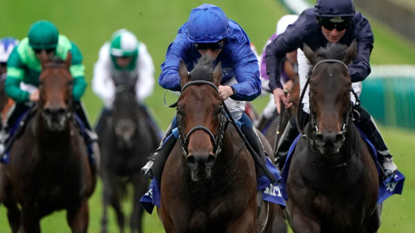 Pinatubo (l) and Arionza (r) are set to do battle in the 2000 Guineas at Newmarket.