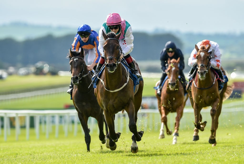 Siskin looms as the one to beat in the Irish 2000 Guineas