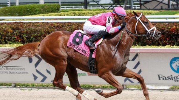 Vekoma wins the Sir Shackleton Stakes at Gulfstream Park.