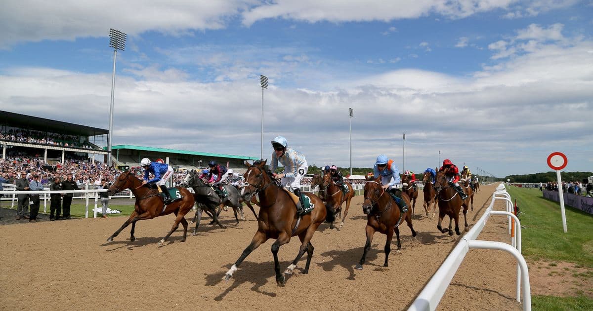 Newcastle Racecourse Tips 8/12/2022 – Sports and Racing News