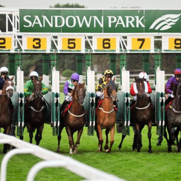 Sandown Racecourse